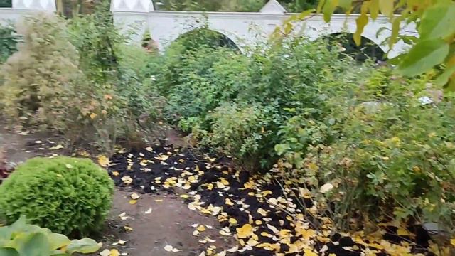 Осенний джаз в Раевском саду смотреть онлайн