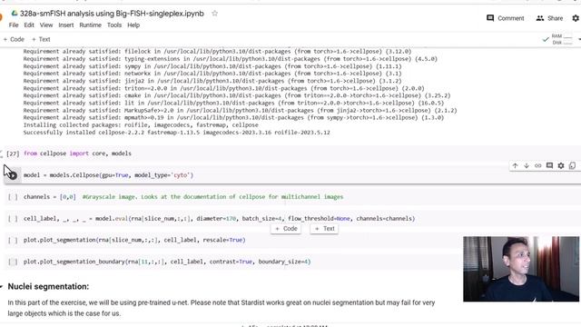 328 - smFISH Analysis using Big FISH library in python смотреть онлайн