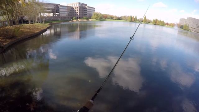 How To Beat Getting Skunked - Fishing Gulp Minnows for Rock Bass! (Huntsville, AL) - Fishing After смотреть онлайн