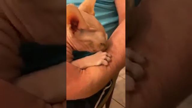 Такие вот нежности )))