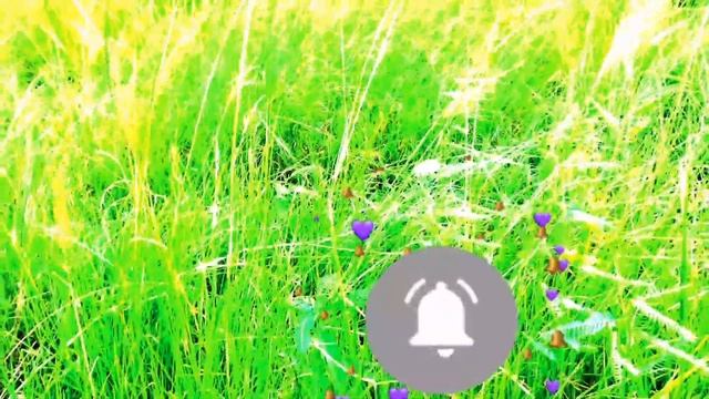 My first vlog❤ my first time vlog ⌚ ALOK KUMAR XYZ 346 please subscribe ??? смотреть онлайн