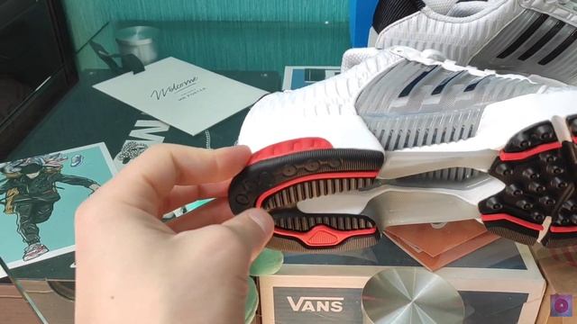 РАСПАКОВКА АДИДАС CLIMACOOL 1 / Обзор лучших летних кроссовок