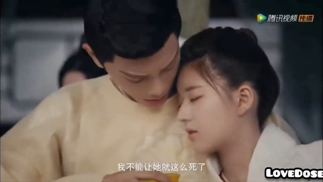 The Romance of Tiger and Rose 🌹Chinese mix hindi songs 💓 смотреть онлайн