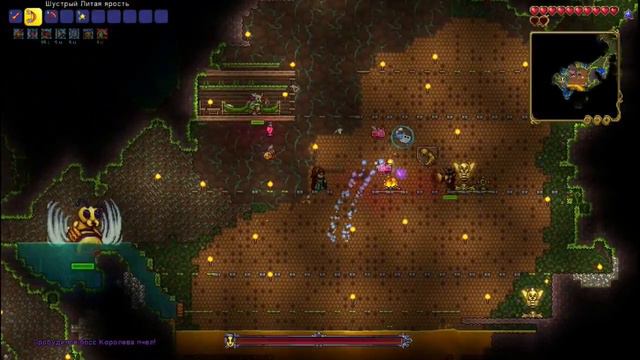 Terraria 3 C челом который типо шарит смотреть онлайн
