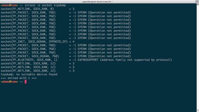 Packet Capture Basics - Sockets смотреть онлайн