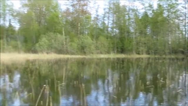 Торфяное, свой берег Комсомольского озера! (999) 060-74-75. смотреть онлайн