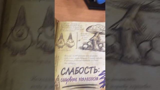 КАК СОЗДАТЬ СВОЙ СОБСТВЕННЫЙ ДНЕВНИК ПО ГРАВИТИ ФОЛЗ | Часть 2 смотреть онлайн