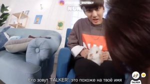 бан чан смешные моменты | Бан Чан из Stray Kids