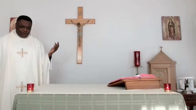 Mass for Monday, Feast of the Dedication of the Lateran Basilica in Rome, 11-09-2020 смотреть онлайн