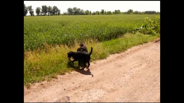 Nikon Coolpix S8100 120 fps Slow Motion смотреть онлайн