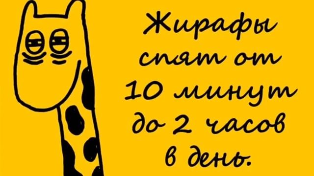 Вы придстовляете у жирафа черный язык!!Посмотрите мои факты и узнаите смотреть онлайн