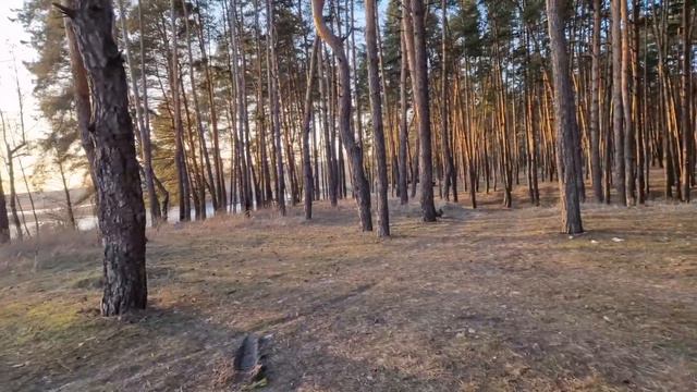 сезон открыт смотреть онлайн
