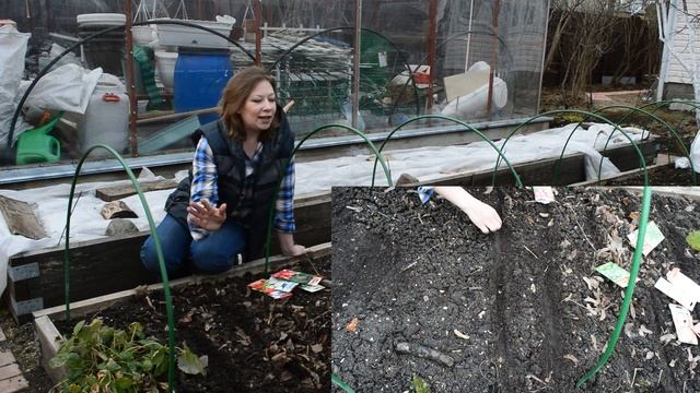 Что Посеять в Апреле в Открытый Грунт | ПЕРВЫЕ ПОСАДКИ в теплице смотреть онлайн