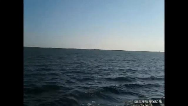 Снял самый убогий пляж и вонючий Залив смотреть онлайн