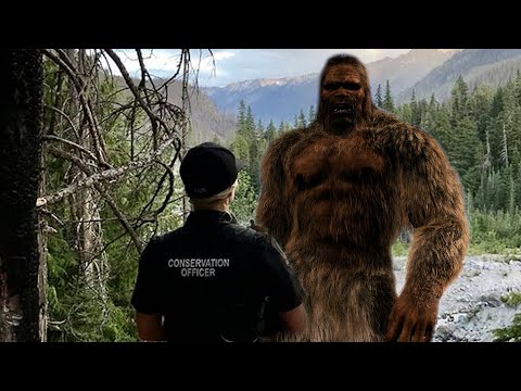 U.S. FOREST SERVICE OFFICER HAS HAIR-RAISING BIGFOOT ENCOUNTER смотреть онлайн
