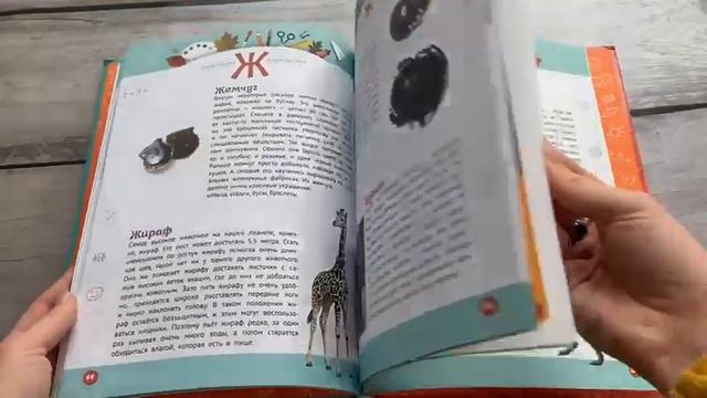 Энциклопедия первоклассника смотреть онлайн