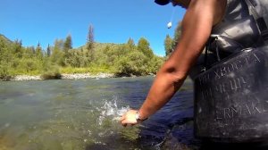 Рыбалка на хариуса в Горном Алтае/Лучшая хариусовая речка на Алтае.