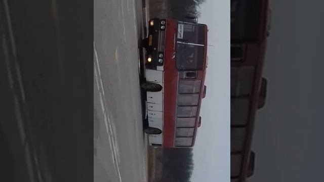старый икарус 280 автобус с.с.с.р не парад! =) россошь-воронеж смотреть онлайн