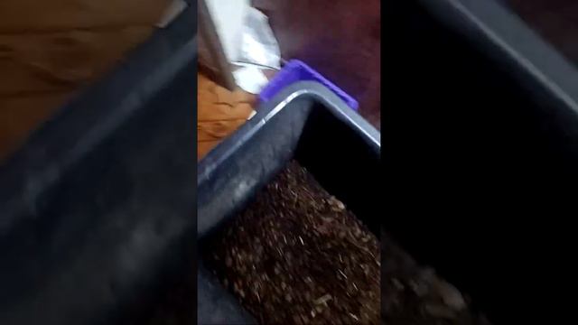 2 часть. Будем знакомы. Накопители. смотреть онлайн