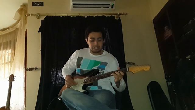Raw Blues ( Pickups wound by W.L. Van zandt himself ) смотреть онлайн