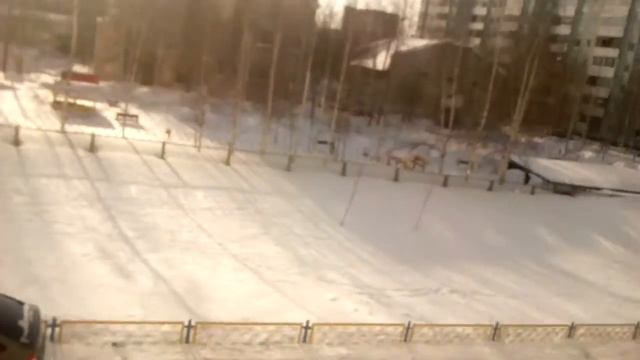 Майнкрафт запретили играть в России (тролинг) смотреть онлайн