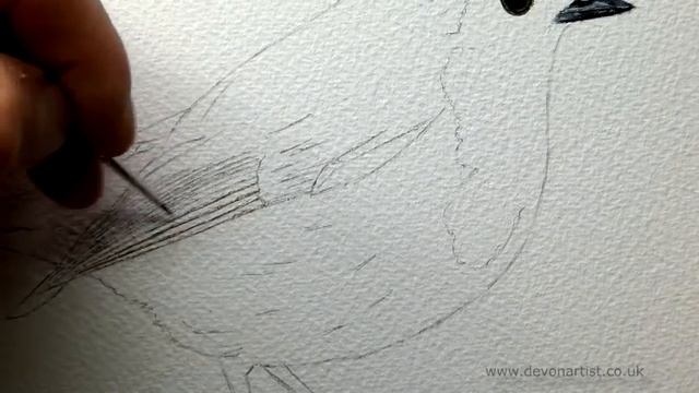Watercolour Painting Tutorial - How To Paint A Robin Part 1 ?