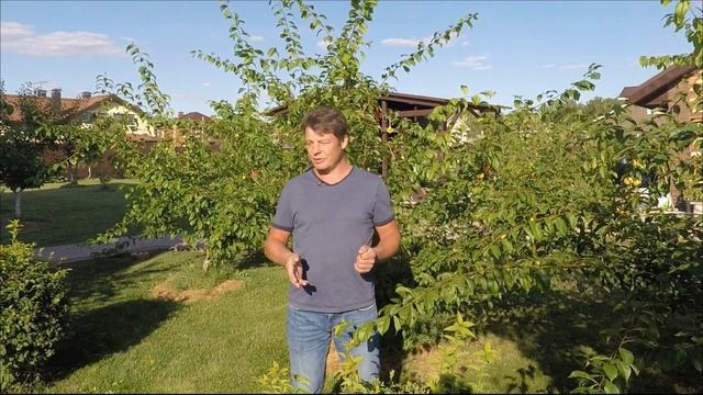 что такое пестициды гербициды фунгициды? простым языком про ЦИДЫ!!! для чего нужны гербициды