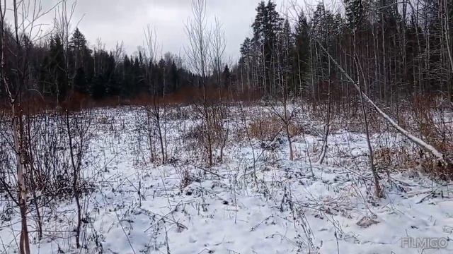 про сенокосные луга