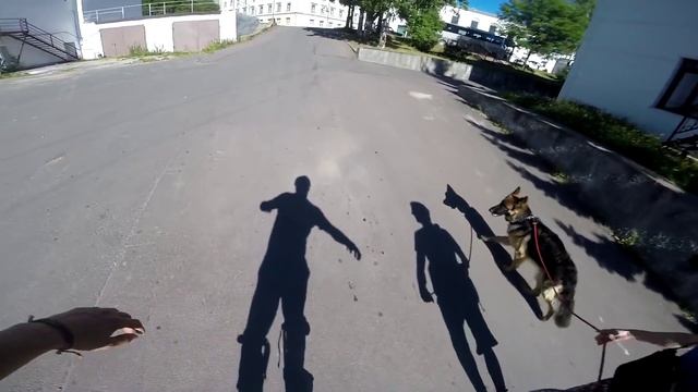 Треня на Джамперах смотреть онлайн