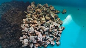 Грунт для кактусов и суккулентов. Компоненты субстрата. Уход за кактусом.Субс