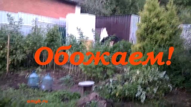 Мейн кун - чада. Дочки-Матери! смотреть онлайн