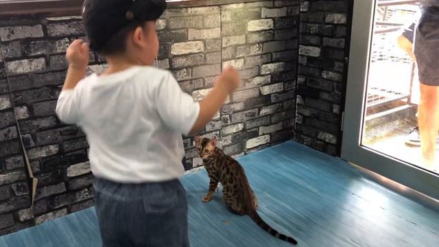 Lucas Reviews: G2G Animal Garden Serdang смотреть онлайн