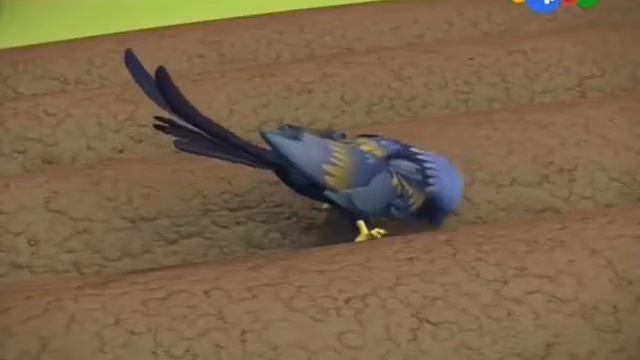 Стройка Челлендж