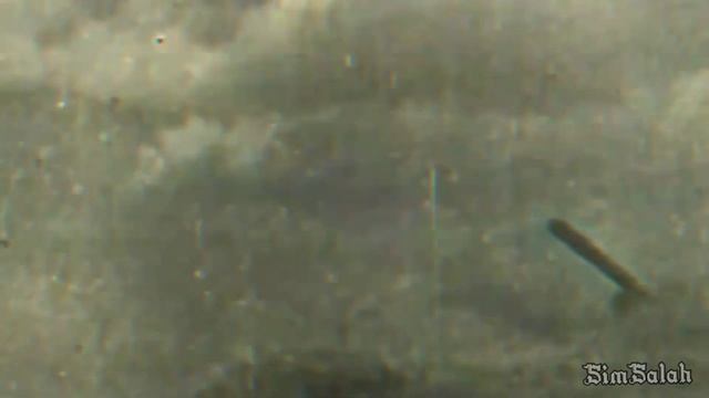 Battle of Kursk ~ WW2 Edit смотреть онлайн