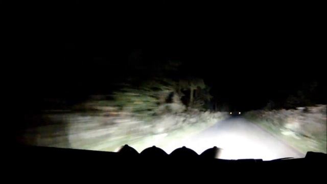 East Belgian Rally 2013 - Hermen Kobus / Erik de Wild - Ford Fiesta S2000 смотреть онлайн