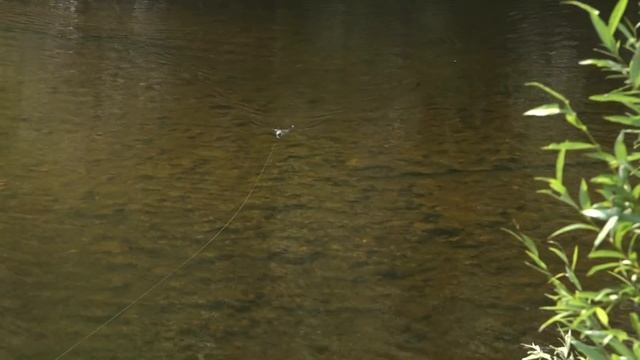 Летняя рыбалка на Туолбе смотреть онлайн