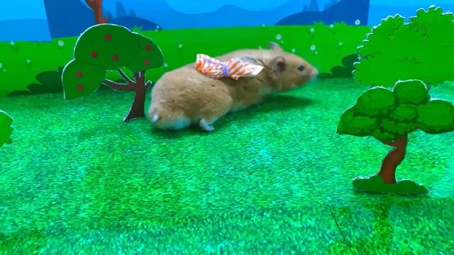 Super Hamster Toy Cars for Sale Vending Machine - Animated Story by Pets Hamster смотреть онлайн