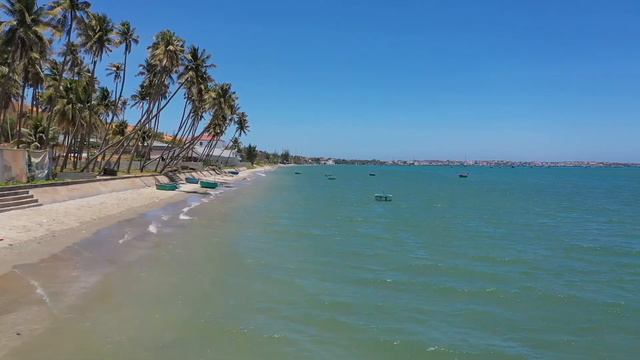 Сегодня у самого колоритного бородача Муй Не День Рождения! Саня, поздравляю! смотреть онлайн