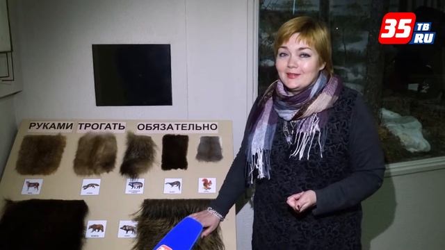 Потрогать мех диких животных можно в Вологодском музее заповеднике смотреть онлайн