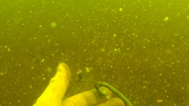 Подводная охота на Волге лето 2019. Сазан, сом, судак.... смотреть онлайн