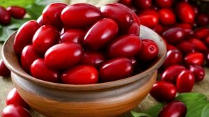 Кизил - полезные свойства ягоды