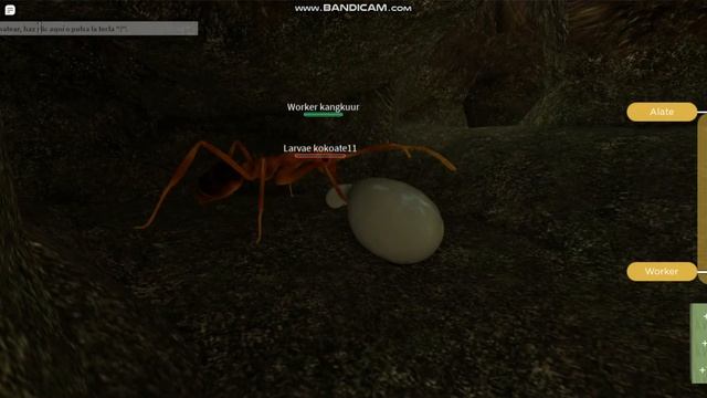 Hack autofarm roblox ant life смотреть онлайн