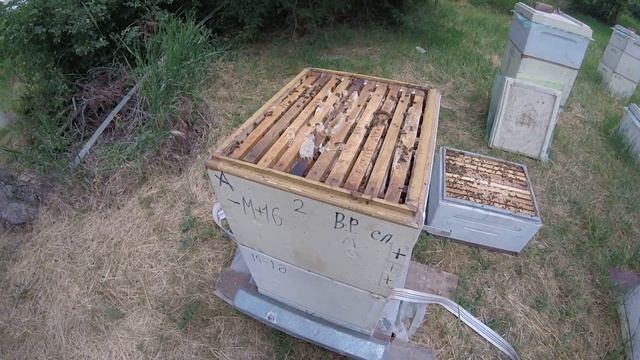 Мёд в сотах, в вакуумной упаковке белая акация 2017 год. смотреть онлайн