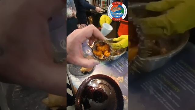 МОРСКОЙ ЁЖ И МОРСКОЙ ГРЕБЕШОК - ДЕГУСТАЦИЯ смотреть онлайн