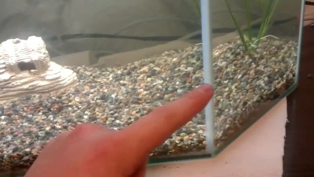 Мой аквариум (30 литров) смотреть онлайн