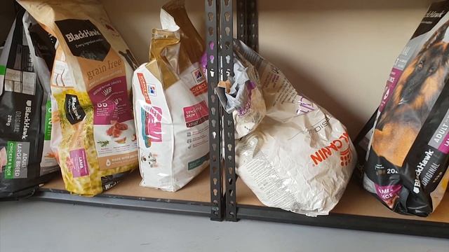 The Cost of RAW Feed vs Kibble Feed my Dogs смотреть онлайн