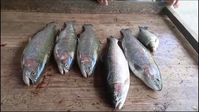 Рыбацкая Деревня Юрлоаво Без лимит на общем водоеме смотреть онлайн