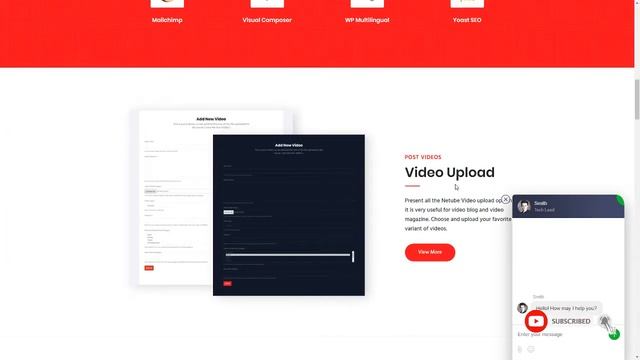 Netube - Viral Video Blog Magazine WordPress Theme смотреть онлайн