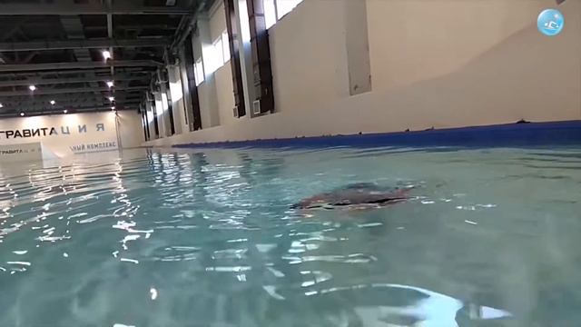 I can swim, but can't inhale! What the problem?! смотреть онлайн