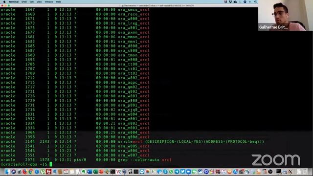 COMO VER O PROCESSO SERVIDOR E OS PROCESSOS BACKGROUNGS | Guilherme Brito смотреть онлайн